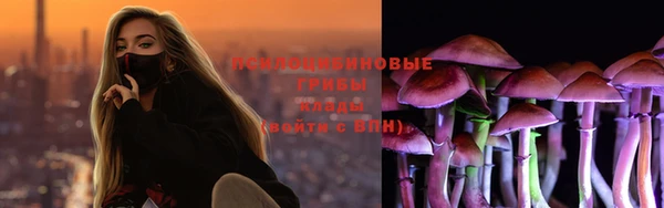 прущий лед Алексеевка