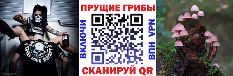 Галлюциногенные грибы мицелий  blacksprut   Солигалич  даркнет сайт 